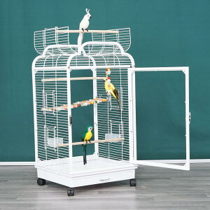  O㓧ANpl юUh~ o[hP[W S  I[vgbv |₷ CR P[W ZLZCCR IJCR  {^CRKp (zCg, 46×