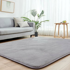 �J�[�y�b�g���O �Ɍ� ���O�}�b�g 2�� ������ 185×185 cm ���� 30 mm �~ ���g�[�Ή� �J�[�y�b�g ��
