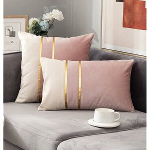 �N�b�V�����J�o�[ 45x45cm �k�� 2���Z�b�g ������� ���� �_�炩�� �x���x�b�g �����S�[���h