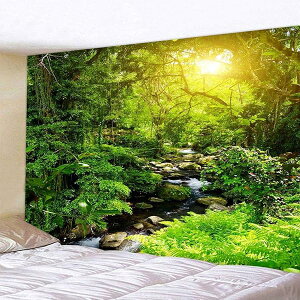 �^�y�X�g���[ �X �k�� �� �唻 �Ǌ|�� ���R 210x150cm�z�|�X�^�[ �V�΂̕��� �����⑋�̏��� �C