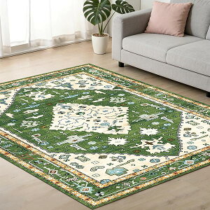 ���O �J�[�y�b�g 1�� 120x160cm �􂦂� �y���V���� �O�~ ����~�� �z�b�g�J�[�y�b�g�Ή� �ϖ���