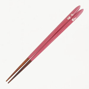 yNbN|Xgzዷh q @̃Rgoij21.5cm@Mtg v[g 蕨 j j a