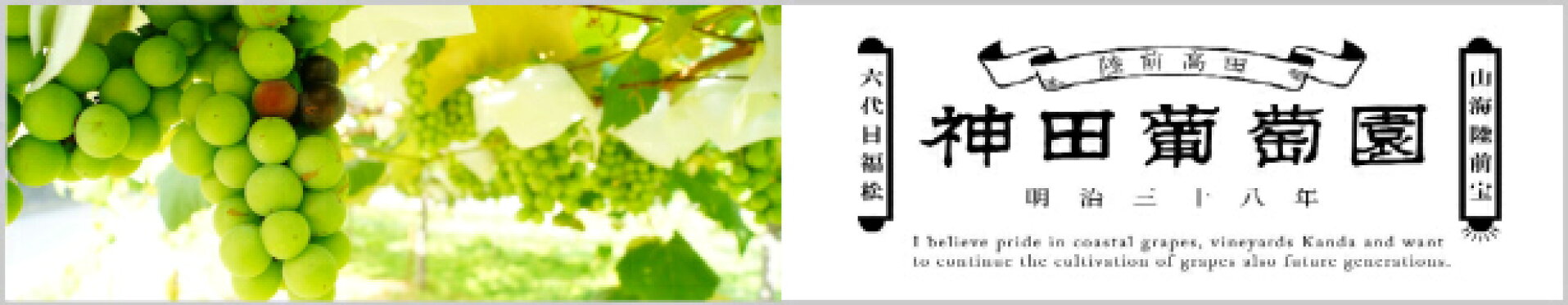 神田葡萄園