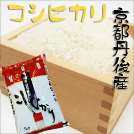 【新米入荷】贈答米　出荷日精米　令和7年京都府産　こしひかり　5kg