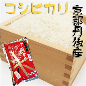 【新米入荷】贈答米　出荷日精米　令和7年京都府産　こしひかり　5kg
