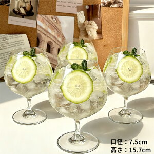 IwaiLoft SNS { Subg COX t VpOX   JNe Vp W[X ECXL[ ԃC C 700ml Ղ e v[g a 