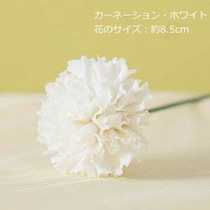 100N͂Ȃ̂  u  Ԃ̃IuWF CeA ͂Ȃ AW O {^ [Y KN̉ J[l[V ֑} ւ̉ ԑ ̉ t[ 