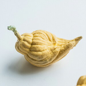 V E  芹 u  IuWF Ԃォ ubVJ CeA  [  V G H|i  i N IwaiLoft