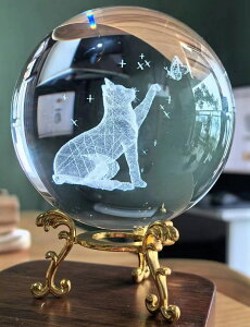 IwaiLoft NX^{[ u 3D ʂɕяオhS  [U[ t ۋ lH  킢  L IuWF ̒u NX^ ŋܖ{ c间 Ce