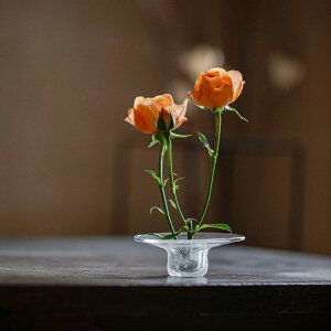 IwaiLoft ɒuŎ͂D͋C  ԕr KX KXԕr Ԋ ֑} t[x[X ~j  CeA  ͔| {g H|i Flower W^