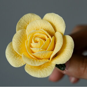 100N͂Ȃ̂   u  Ԃ̃IuWF ܂Ŗ{ ̉ E  ΂ R   u u  Ԃ̃IuWF CeA 