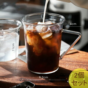 IwaiLoft 450mL 2点セット 耐熱ガラス グラス ガラスマグ ガラスカップ コップ コーヒーカップ コーヒーマグ かわいい モーニングカップ ティーグラス 冷茶グラス 結露しにくい カフェコーヒー