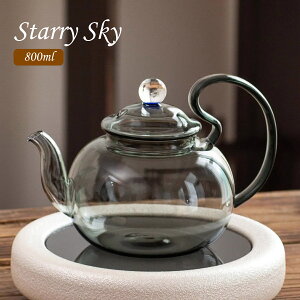 ȐEΉ 2025N Vi ϔMKX eB[|bg KXeB[|bg KX|bg 800ml O[  KX KX}{ g|bg   t[ceB[ ⒃  