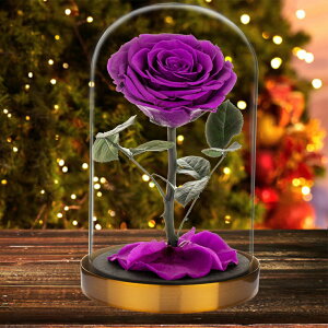 IwaiLoft vU[uht[  o ͂Ȃ Ԃ̃Mtg [Y KN ԑ KXh[ l ޏ Ԃ LO  v|[Y NX}X v[g LO uȂ