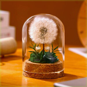 u̐_vMini vU[uht[ ^|| ۂ p KXh[ KX{g Mtg hV̓ ̓ ̓ v[g ͂Ȃ {gt[ ޏ  Mtg 