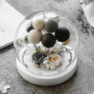 IwaiLoft o[ vU[uht[ o ͂Ȃ Ԃ̃Mtg [Y KN ԑ KXh[ l ޏ Ԃ LO  v|[Y NX}X v[g LO t