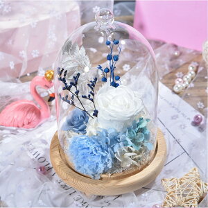 IwaiLoft vU[uht[ Mtg [Y×J[l[V v[g ͂ȂԂ̃AW av[gEjE\E蕨 KXh[ ̓ ޏ  v[g a