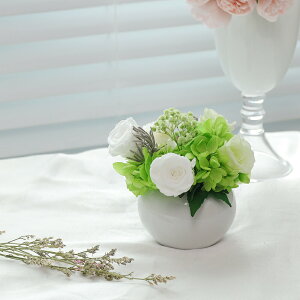 yEyzIwaiLoft vU[uht[     O ~ ފ @v  V { dp  vU  ybĝ Ft Mtg  v[