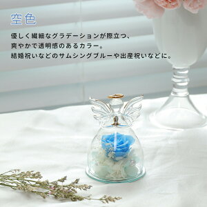 IwaiLoft vU[uht[ Mtg Vg ԑ o v[g ͂Ȃ {gt[ av[gEjE\E蕨 KXh[ ̓ ޏ  v[g a