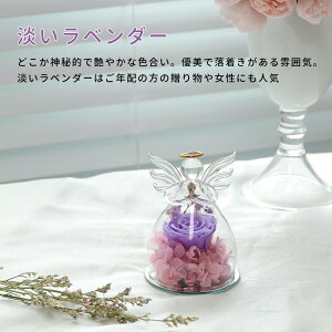 IwaiLoft vU[uht[ Mtg Vg ԑ o v[g ͂Ȃ {gt[ av[gEjE\E蕨 KXh[ ̓ ޏ  v[g a