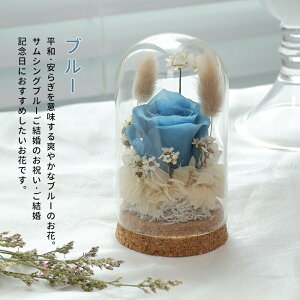 VEAeiIwaiLoft Mini vU[uht[ Mtg KXh[  o 蕨 ͂Ȃ {gt[ jE\E蕨 ̓ ޏ  a v[g j