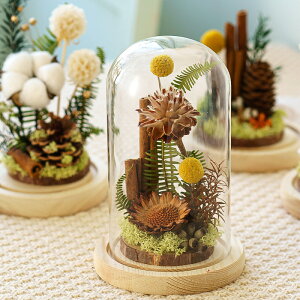 IwaiLoft hCt[ ڂ Ȃ̖ Rbgt[ vU[uht[ Mtg v[g ͂Ȃ {gt[ KXh[ NX}X f av[gEj