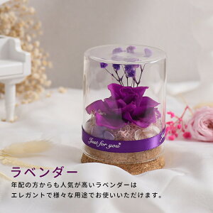 y2グőzlC IwaiLoft mini vU[uht[ Mtg ԑ o v[g ͂Ȃ {gt[ av[gEjE\E蕨 KXh[ 
