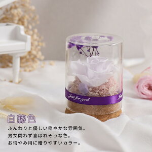 IwaiLoft mini vU[uht[ Mtg ԑ o v[g ͂Ȃ {gt[ av[gEjE\E蕨 KXh[ ̓ ޏ  v[g a 