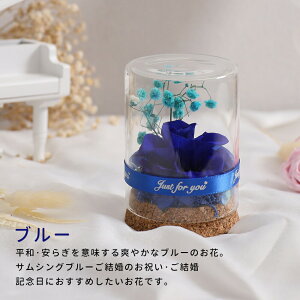 y2グőzlC IwaiLoft mini vU[uht[ Mtg ԑ o v[g ͂Ȃ {gt[ av[gEjE\E蕨 KXh[ 