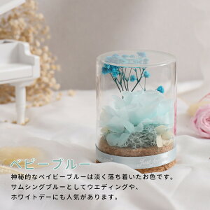 IwaiLoft mini vU[uht[ Mtg ԑ o v[g ͂Ȃ {gt[ av[gEjE\E蕨 KXh[ ̓ ޏ  v[g a 