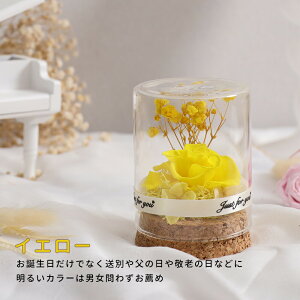 IwaiLoft mini vU[uht[ Mtg ԑ o v[g ͂Ȃ {gt[ av[gEjE\E蕨 KXh[ ̓ ޏ  v[g a 