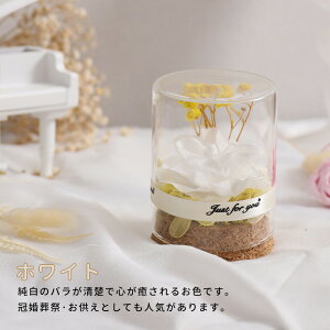 y2グőzlC IwaiLoft mini vU[uht[ Mtg ԑ o v[g ͂Ȃ {gt[ av[gEjE\E蕨 KXh[ 