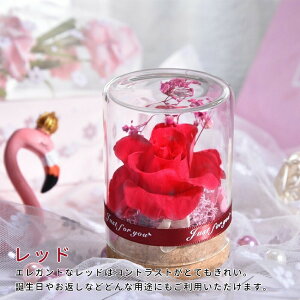 IwaiLoft mini vU[uht[ Mtg ԑ o v[g ͂Ȃ {gt[ av[gEjE\E蕨 KXh[ ̓ ޏ  v[g a 
