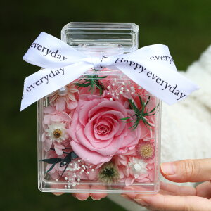 IwaiLoft ƍ炭 vU[uht[ Mtg ԑ o v[g ͂Ȃ vU[uht[ {bNX inL[u AN{bNX  ̓ a v[gEj