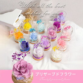 IwaiLoft mini プリザーブドフラワー ギフト 花束 バラ プレゼント 枯れないお花 ボトルフラワー 誕生日プレゼント・お祝い・発表会・贈り物に ガラスドーム 母の日 彼女 妻 プレゼント 誕生日 結婚祝い フラワー インテリア 縁起物