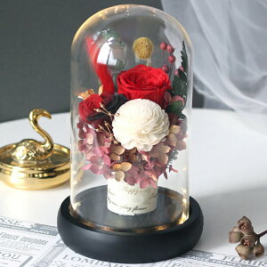 IwaiLoft a vU[uht[ Mtg ԑ o v[g ͂Ȃ {gt[ av[gEjE\E蕨 KXh[ ̓ ޏ  v[g a