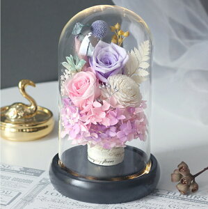 IwaiLoft a vU[uht[ Mtg ԑ o v[g ͂Ȃ {gt[ av[gEjE\E蕨 KXh[ ̓ ޏ  v[g a