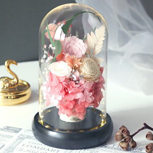 IwaiLoft a vU[uht[ Mtg ԑ o v[g ͂Ȃ {gt[ av[gEjE\E蕨 KXh[ ̓ ޏ  v[g a