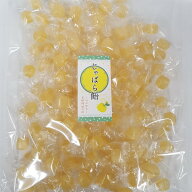 じゃばら飴 お買い得パック【業務用】【送料無料】 じゃばら 邪払 花粉症 ナリルチン 柑橘のど飴　個包装…