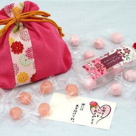 母の日　ちりめん巾着～ほのか～母の日キャンディーセット【送料無料】