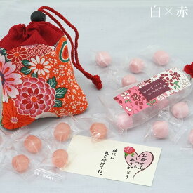 母の日　プレミアムちりめん巾着～ほのか～母の日キャンディーセット【送料無料】