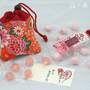 ̓@v~A߂В`ق̂`̓LfB[Zbgyz