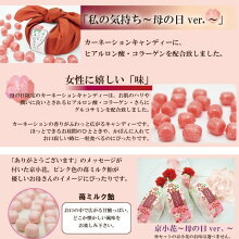 「私の気持ち」カーネーションキャンディーセット