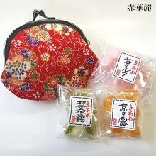 赤華麗