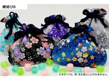 蝶結びB