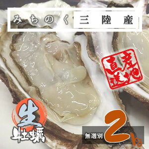 �y�N�[�|���ł��l����!!�z���HOK �J�L �݂��̂� �O���Y �k�t�� �����y 2kg�i10�`20�j ���G���o�� �� ���P���� ���ʌ��� �������� ���͂��w��\ ����No.1 �V�N �Ί� �Y�n���� �~�l���� �A�~