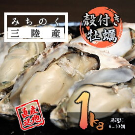 カキ みちのく三陸産 殻付き牡蠣 1kg 産地直送 2個ご購入で3kgに増量中！ 世界三大漁場 石巻 亜鉛 鉄分 アミノ酸 豊富 バーベキュー 様々なお料理に 加熱用
