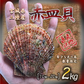 宮城県三陸産 赤皿貝 2kg 余り出回らない希少な貝 石巻 魚貝 ホタテと違った味わい 濃厚な旨み 様々なお料理に