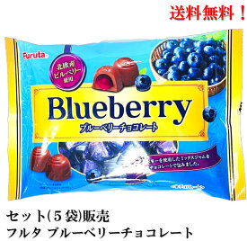 【賞味期限2024年11月】フルタ ブルーベリーチョコレート 145g × 5袋 食品 チョコ チョコレート ブルーベリー