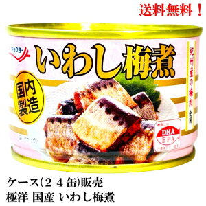 ɗm Y 킵 ~ 145g × 24 yܖ2027.10.1zHi  ʋl CV  IBY ~